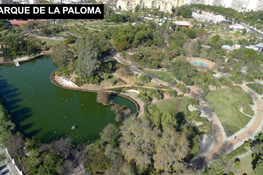 Estudio En Benalbeach, Vistas Mar, Primera Linea Playa 贝纳尔马德纳 外观 照片