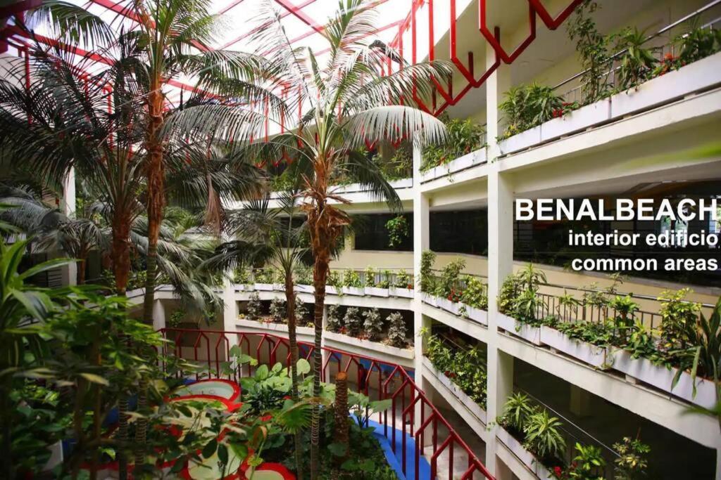 Estudio En Benalbeach, Vistas Mar, Primera Linea Playa 贝纳尔马德纳 外观 照片